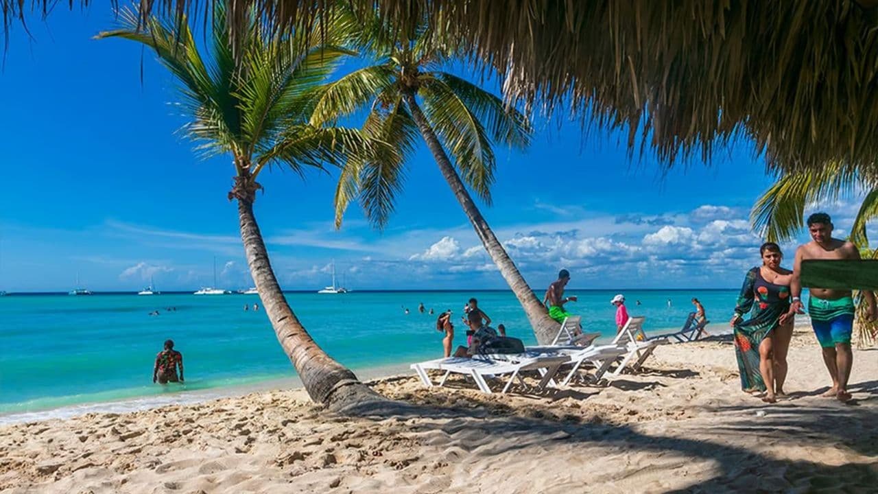 Saona Island: Full-Day Boat Tour with Drinks & Buffet Lunch - Photo 4 (Gallery view)