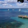 Catalina Island: Day Trip – Best Snorkeling! - Photo 3 (Gallery view)