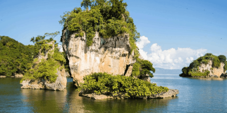 From Samana: Los Haitises Boat and Walking Tour with Lunch - Dominican Republic
