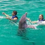 Delfinschwimmen in Punta Cana – Beste 60-minütige Delfinentdeckung - Photo 2 (Gallery view)