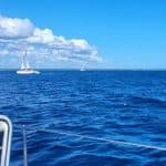Isla Saona Day Trip From Santo Domingo with Lunch - Photo 3 (Gallery view)