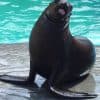 Puerto Plata Ocean World Tickets - Photo 2 (Gallery view)