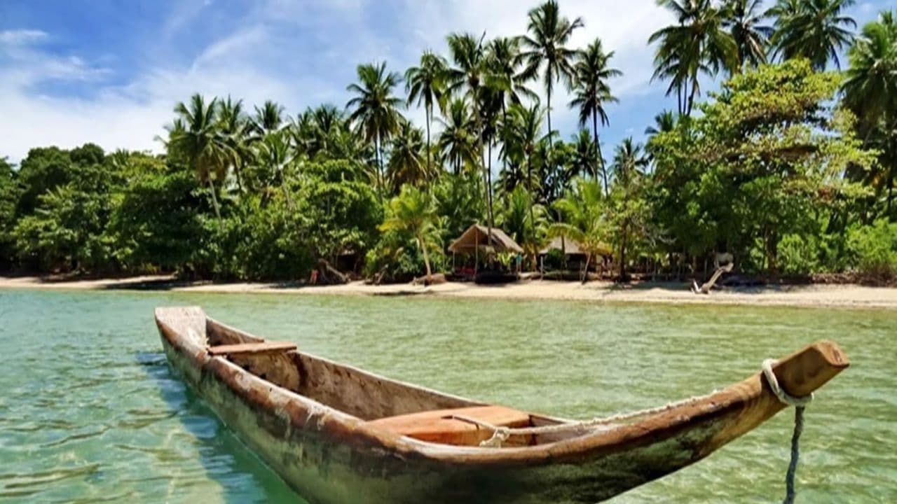 Private Transfer Punta Cana Airport to Bahia P. Bouganville - Dominican Republic