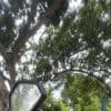 Buggy Tour - Photo 4 (Gallery view)