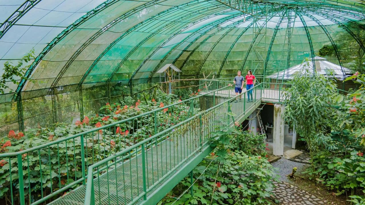 Visite écologique de la jungle - Photo 4 (Gallery view)