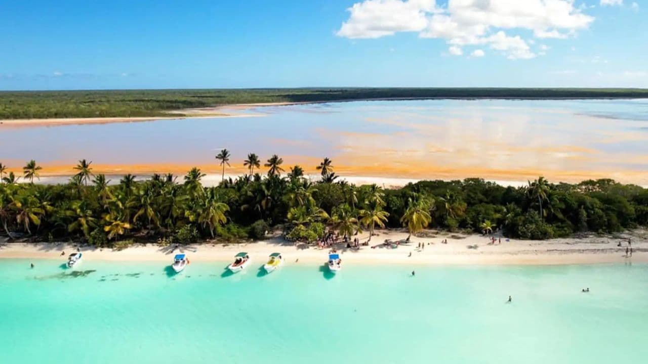 Explora la Experiencia: Tours de Punta Cana a Isla Saona - Photo 4 (Gallery view)