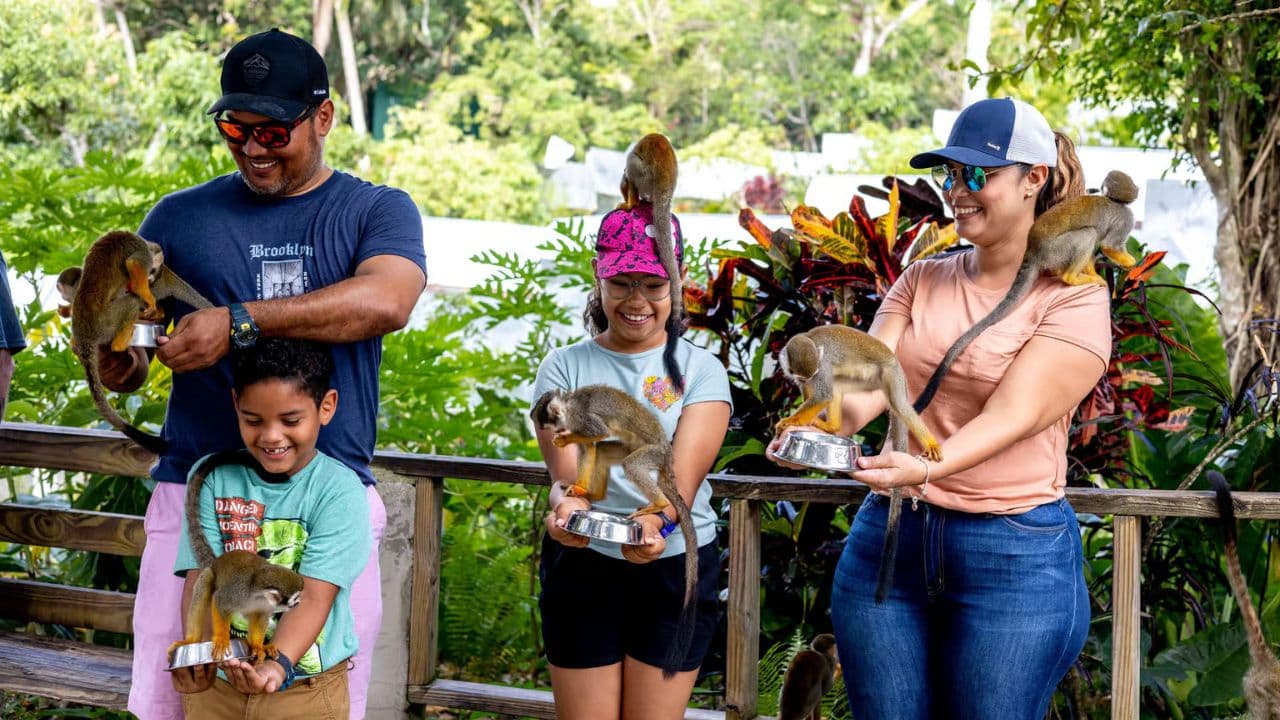 Punta Cana: Horseback Riding Through the Beautiful Beaches - Dominican Republic