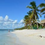 Punta Cana: Catalina Island Snorkeling Tour with Lunch - Photo 2 (Gallery view)