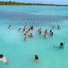 Punta Cana: Saona Island Day Trip with Lunch and Drinks - Photo 5 (Gallery view)