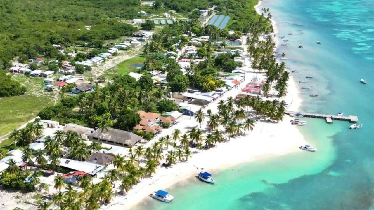 From La Romana: Saona Island for Carnival Cruises Passengers - Photo 5 (Gallery view)
