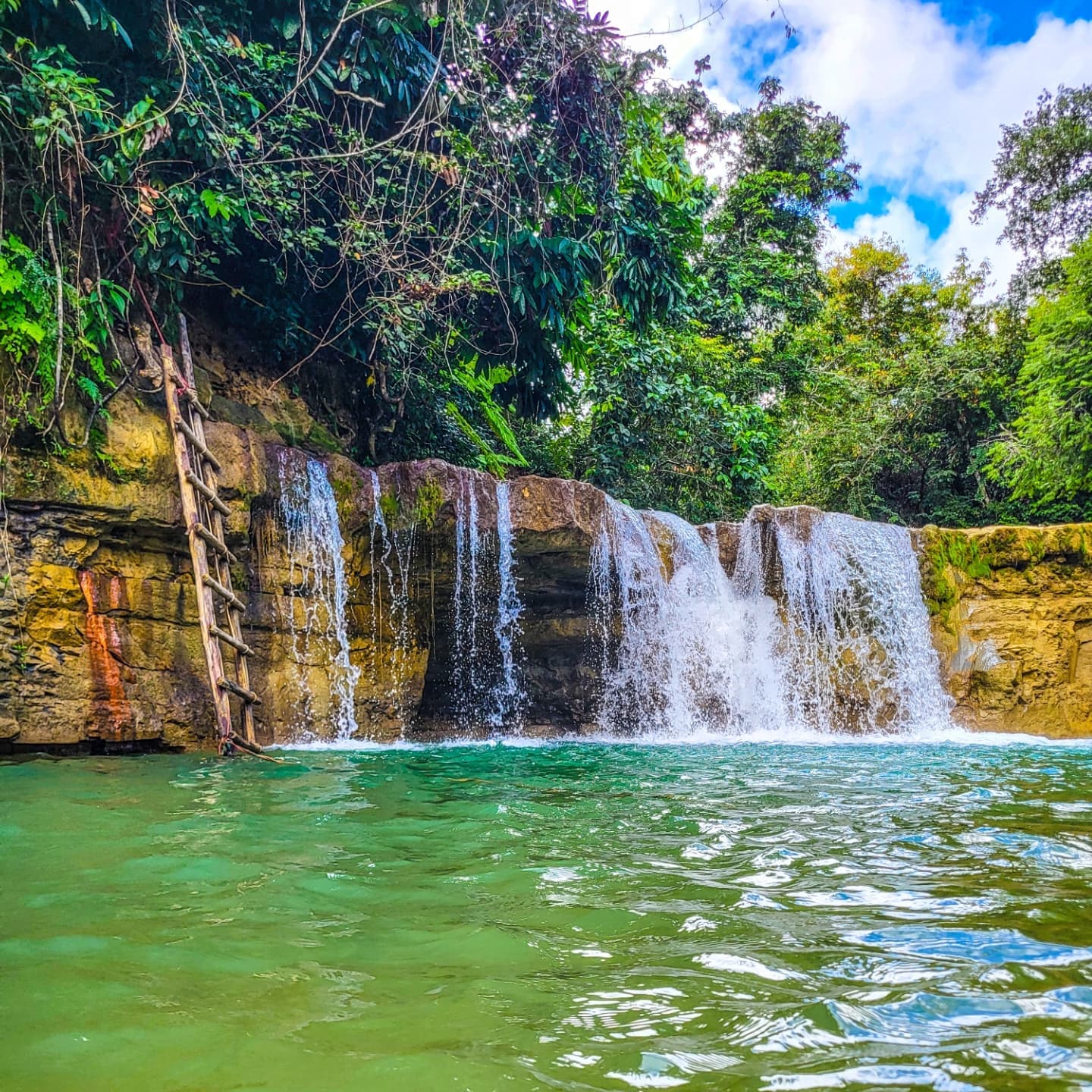 Punta Cana Los Haitises Park, Yanigua Waterfall, & Montaña Redonda Tour - Photo 3 (Gallery view)