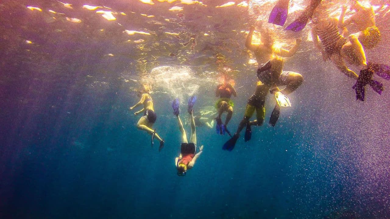 La Romana: tour de snorkel de día completo en la isla Catalina - Photo 5 (Gallery view)