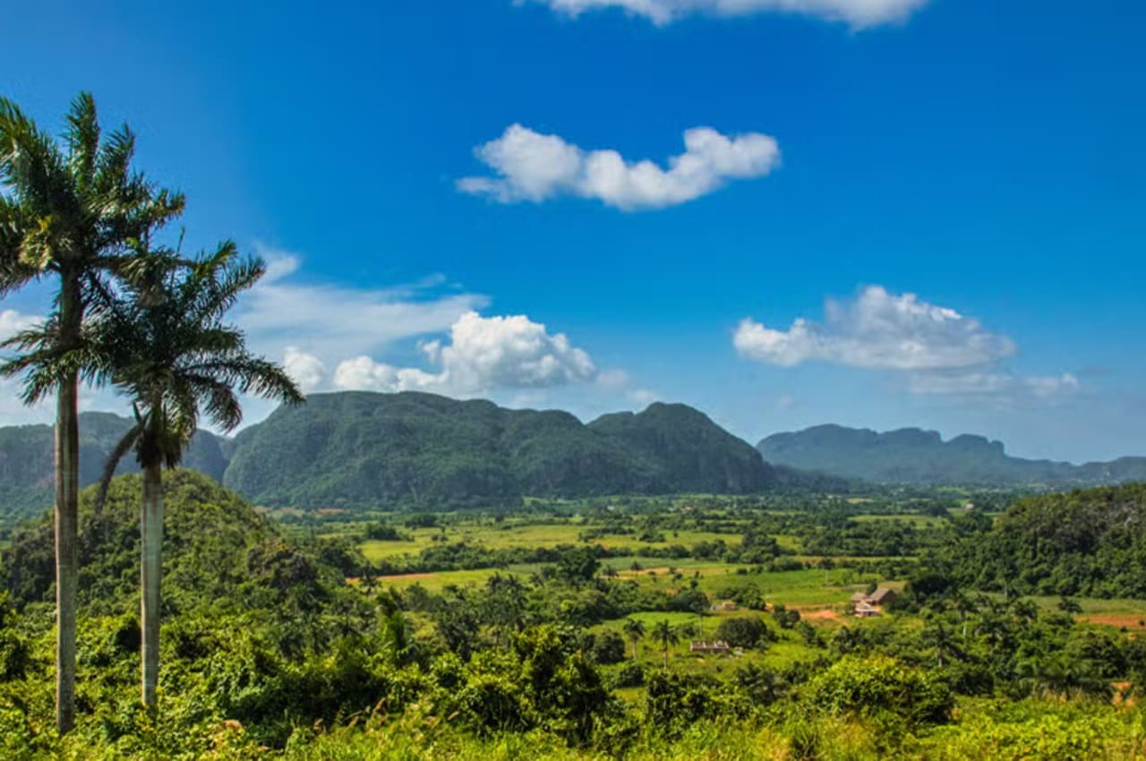 Viñales Valley Carriage Ride - Photo 2 (Gallery view)