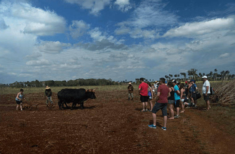 Yaguajay Jeep Safari - Photo 2 (Gallery view)
