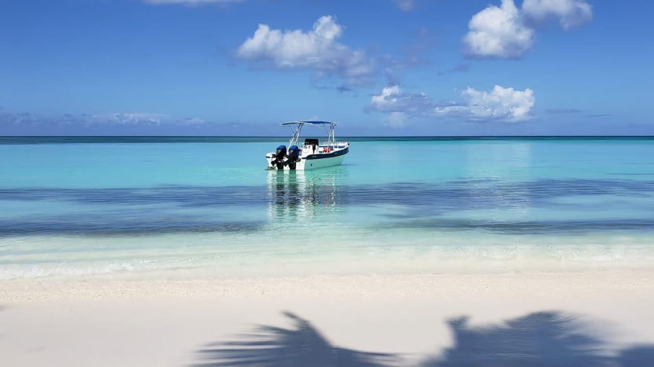 Saona Island Full-Day Tour with Lunch from Punta Cana - Photo 2 (Gallery view)