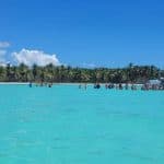 Isla Saona Day Trip From Santo Domingo with Lunch - Photo 5 (Gallery view)