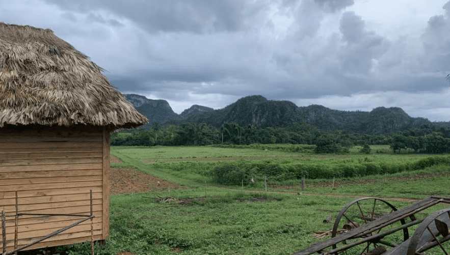 Excursie la apus de soare la Viñales - Photo 3 (Gallery view)