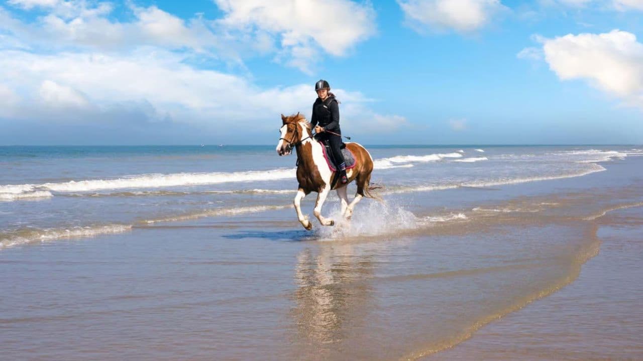 2hour horseback riding adventure on the beach jungle & river - Dominican Republic