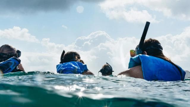 San Juan: Beginner Snorkeling Tour with Turtles and Videos - Photo 3 (Gallery view)