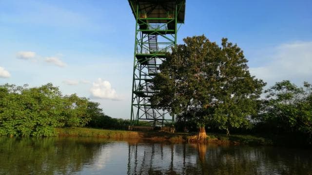 Caño Negro: Wildtier-Entdeckungstour - Photo 3 (Gallery view)