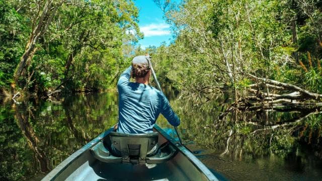 Tortuguero: Canoe Tour and Turtle Nesting Tour Package - Dominican Republic