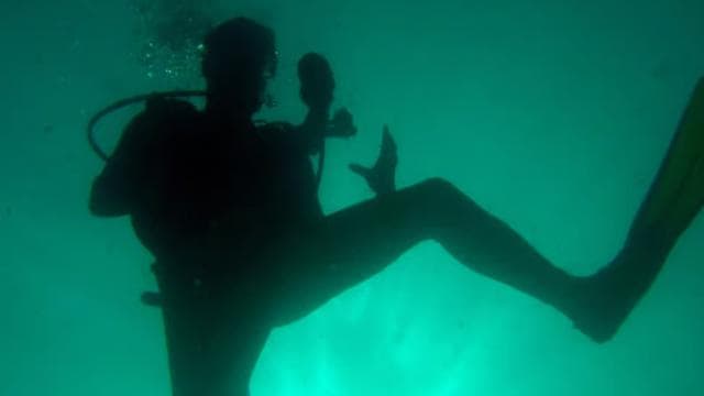 Papagayo Gulf: 2 Dives Half-Day Scuba Dive Tour - Photo 3 (Gallery view)