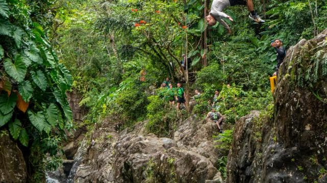 Fajardo: Rainforest guided adventure - Photo 4 (Gallery view)