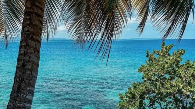 Puerto Rico: tur de gastronomie și plaje din Aguadilla West Coast - Photo 2 (Gallery view)