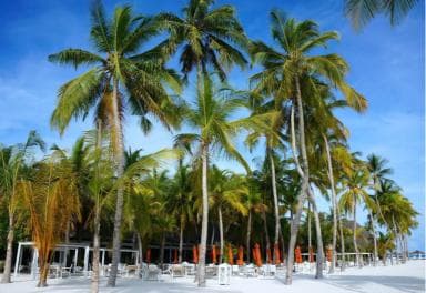 Private: Boca Chica to Saona Island Full-Day Cruise - Dominican Republic