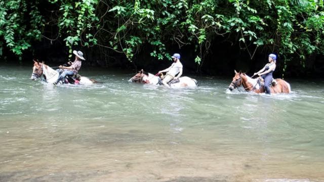 La Fortuna: Rehberli Binicilik Deneyimi ve Turu - Photo 3 (Gallery view)