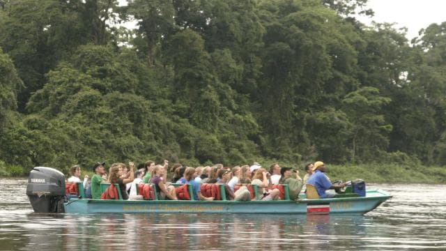 San José : excursion d'une journée au parc Tortuguero avec petit-déjeuner et déjeuner - Photo 3 (Gallery view)