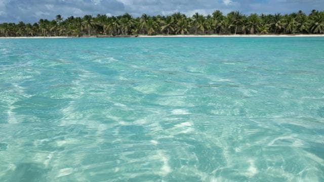 Punta Cana: Saona Island All-Inclusive Day Trip - Dominican Republic