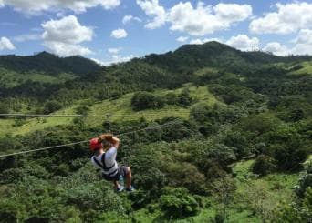 Privat: Punta Cana Jungle 12-Cable Zipline Adventure - Photo 3 (Gallery view)