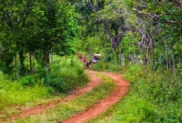 Flintstones Buggy, Cave and Adventure in Bavaro - Photo 5 (Gallery view)