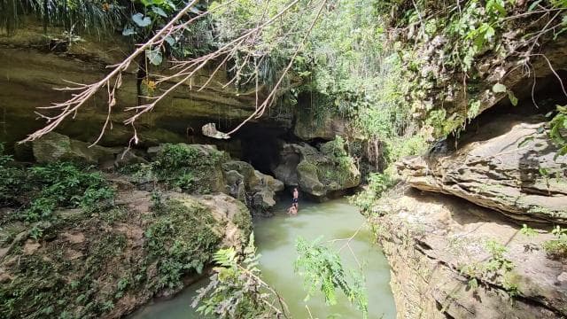 Rainforest Cave Tubing Adventure - Photo 2 (Gallery view)