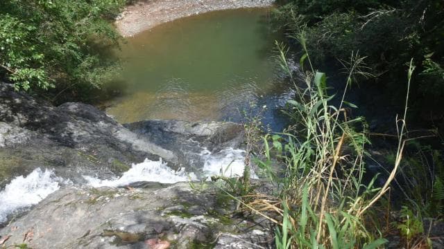 San Juan, PR: Hike to a Hidden Waterfall Adventure - Dominican Republic