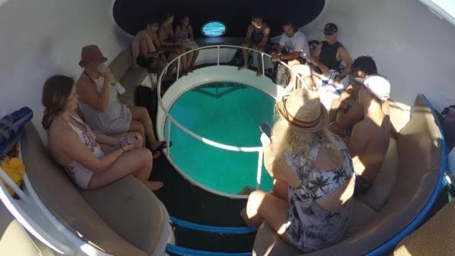 Punta Cana Scuba Doo: Discover Marine Life In a Fun Way - Photo 4 (Gallery view)