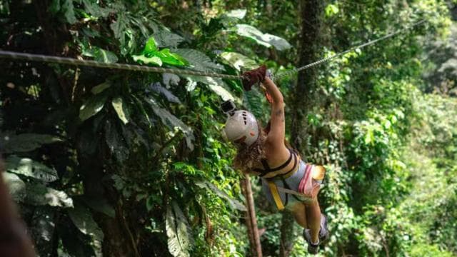 Puerto Viejo Limón: Nejlepší Canopy Tour / Ziplines - Photo 2 (Gallery view)