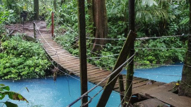 Rio Celeste, explore the rainforest and great waterfall - Photo 5 (Gallery view)