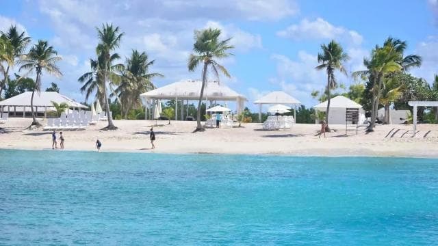 Punta Cana: Catalina Island Day Trip with Snorkeling - Photo 3 (Gallery view)
