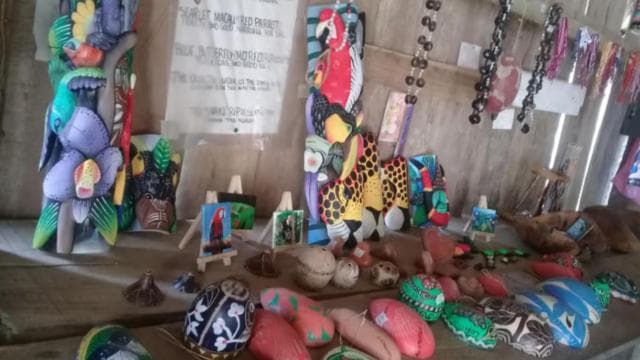 Watsi: chocolate and waterfall with transportation and lunch - Photo 5 (Gallery view)