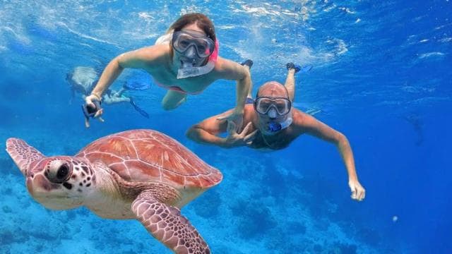 San Juan Snorkeling Tour with Roundtrip Transportation - Photo 4 (Gallery view)