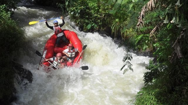 Costa Rica: White-Water Rafting Class III-IV Adventure - Dominican Republic