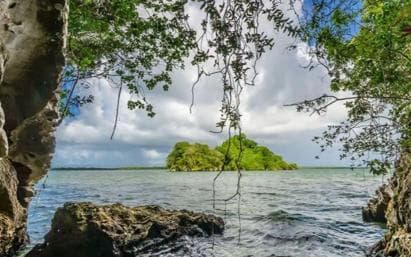 Private Samaná: Los Haitises Park, Caño Hondo & Yanigua Tour - Photo 3 (Gallery view)