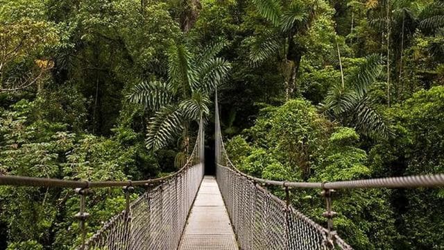 La Fortuna: Arenal Combo Hanging Bridges, Waterfall, Volcano - Photo 5 (Gallery view)