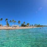 The Catalina Island Experience $110.00 - Photo 2 (Gallery view)