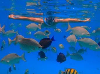 Puerto Plata: Snorkeling Excursion to Sosúa Bay - Photo 3 (Gallery view)