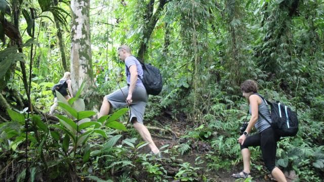 From La Fortuna: Hanging Bridges & Arenal Volcano with Lunch - Photo 2 (Gallery view)