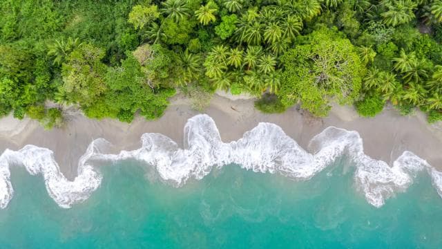 From San José: Full day Manuel Antonio National Park - Photo 2 (Gallery view)