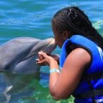 Delfinschwimmen in Punta Cana – Beste 60-minütige Delfinentdeckung - Photo 4 (Gallery view)